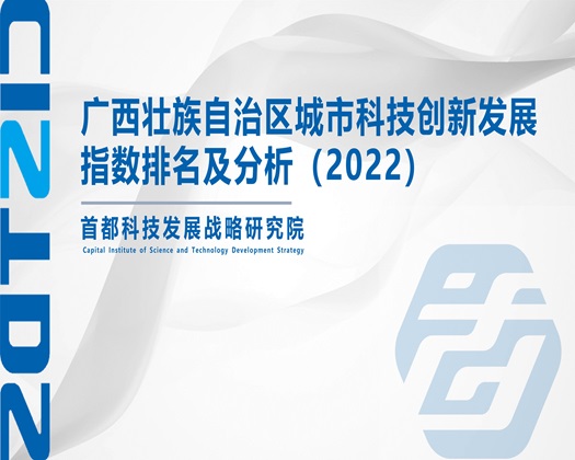 巨骚综合爆插【成果发布】广西壮族自治区城市科技创新发展指数排名及分析（2022）